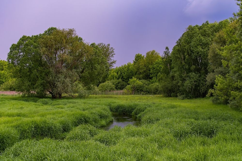 Photograph by Михаил Косолапов