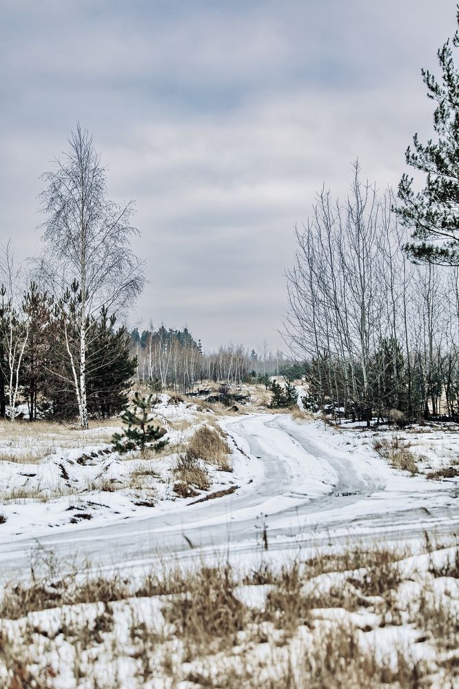 Фотография автора Елена Чиликина