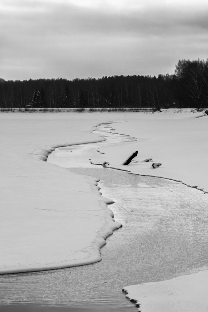 Photograph by Юлия Фомина