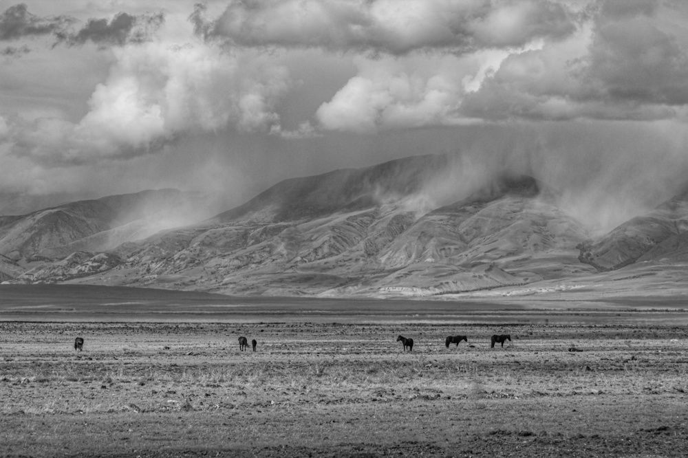 Photograph by Елена Павлова