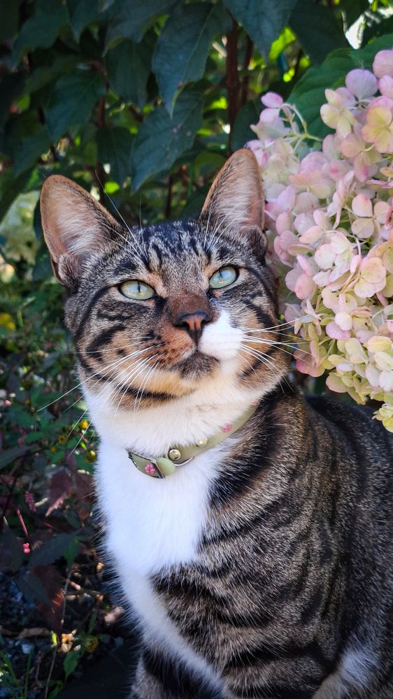 Photograph by Tatiana Kirillova