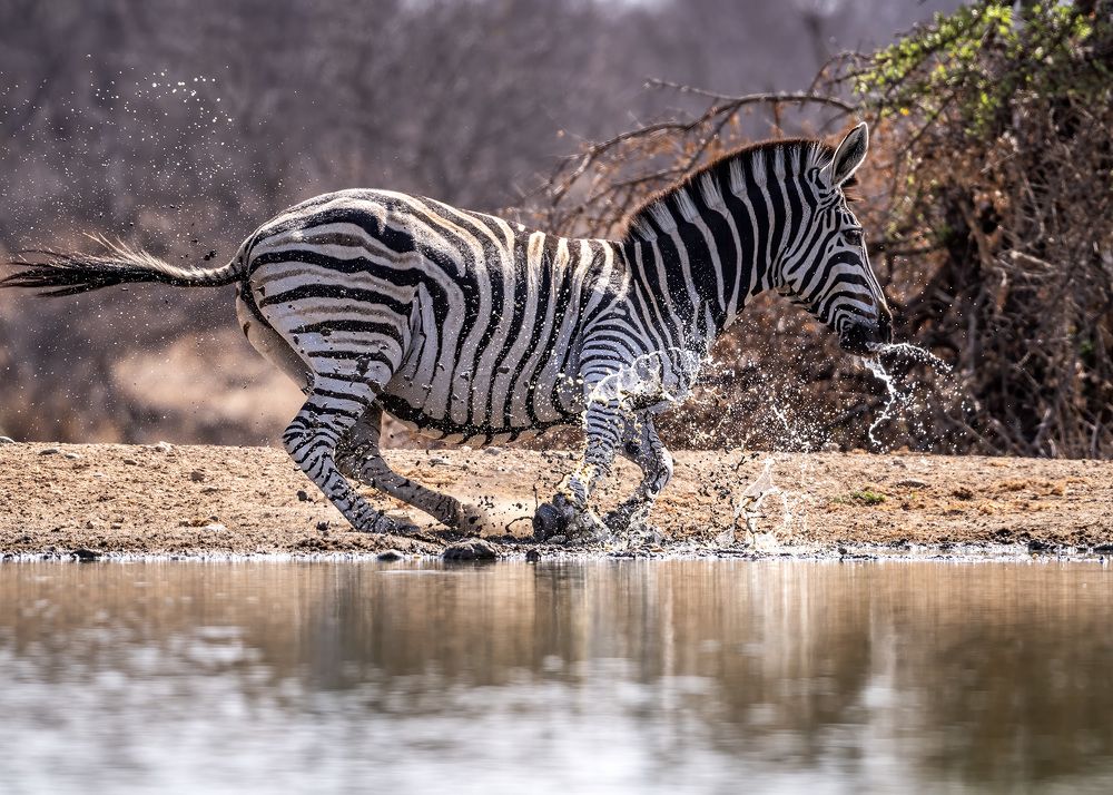 Photograph by Rose-Anne Reyes