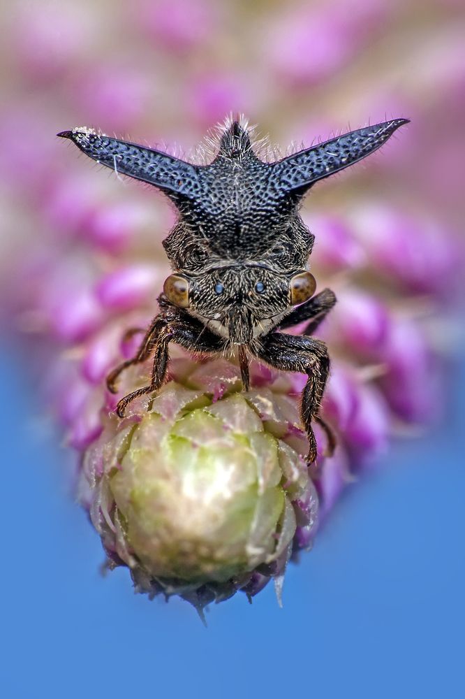 Photograph by ChonTin NeCoTi