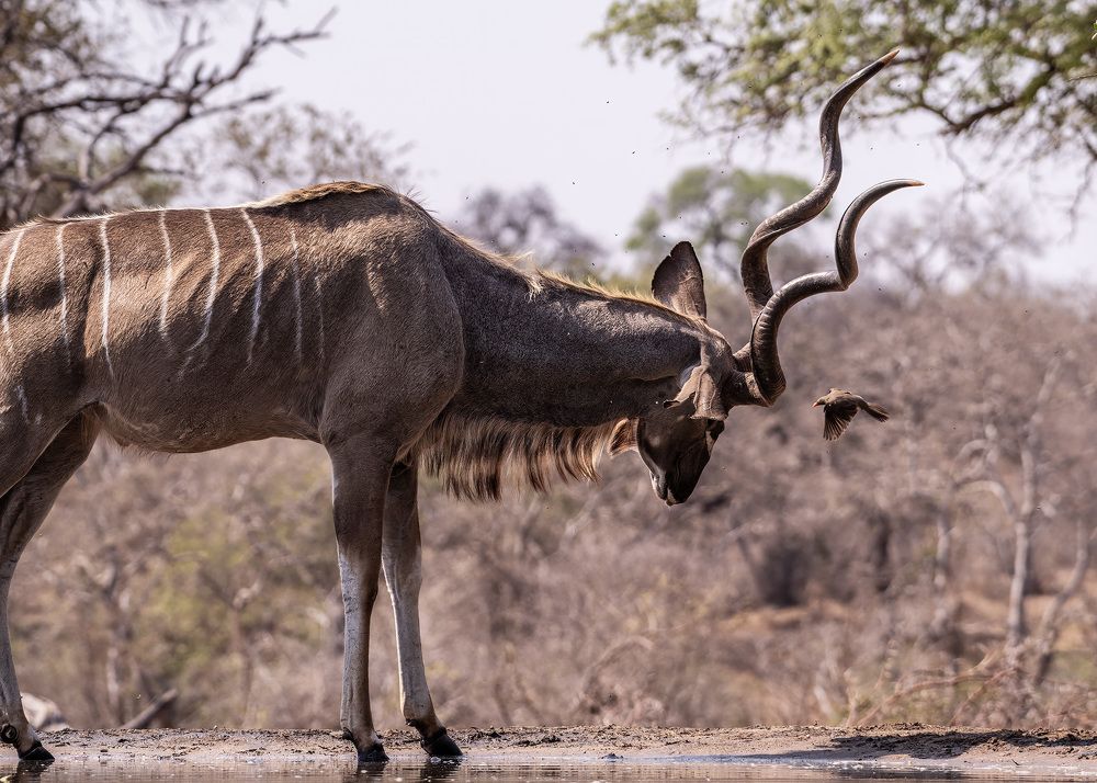 Photograph by Rose-Anne Reyes