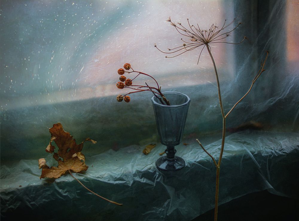 Photograph by Александр Хромеев