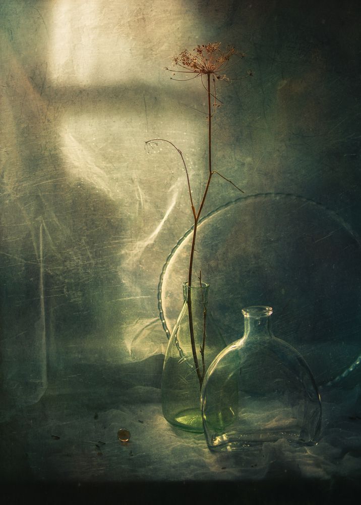 Поймать солнце..