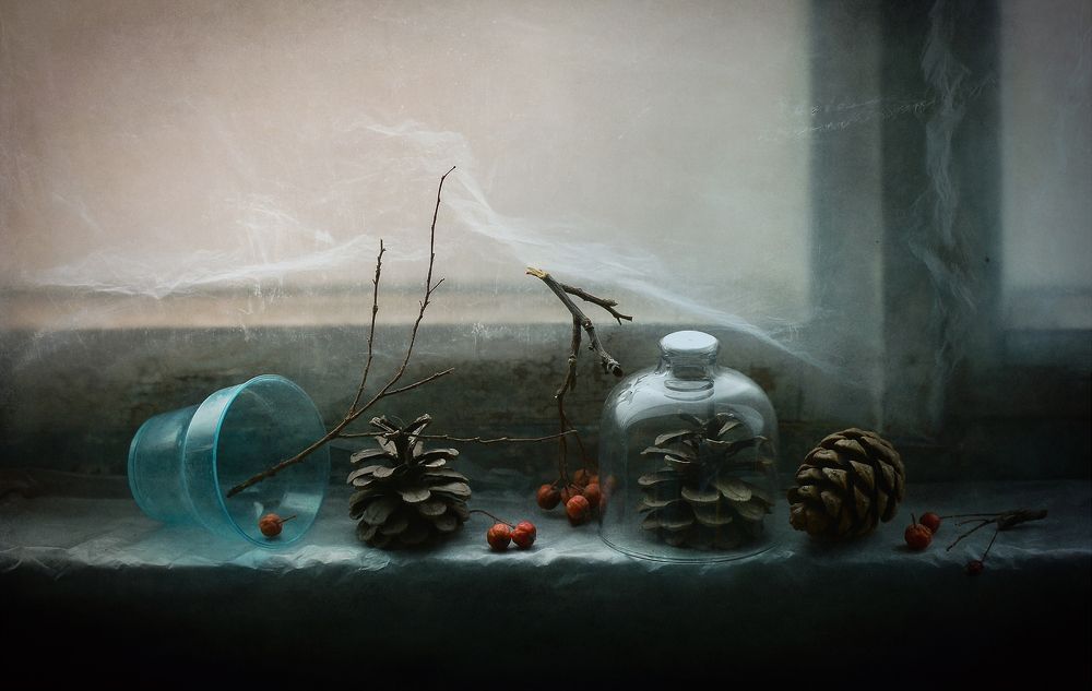 Photograph by Александр Хромеев