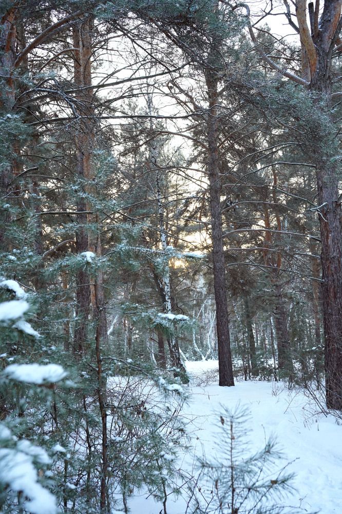 Photograph by Любовь Лунина