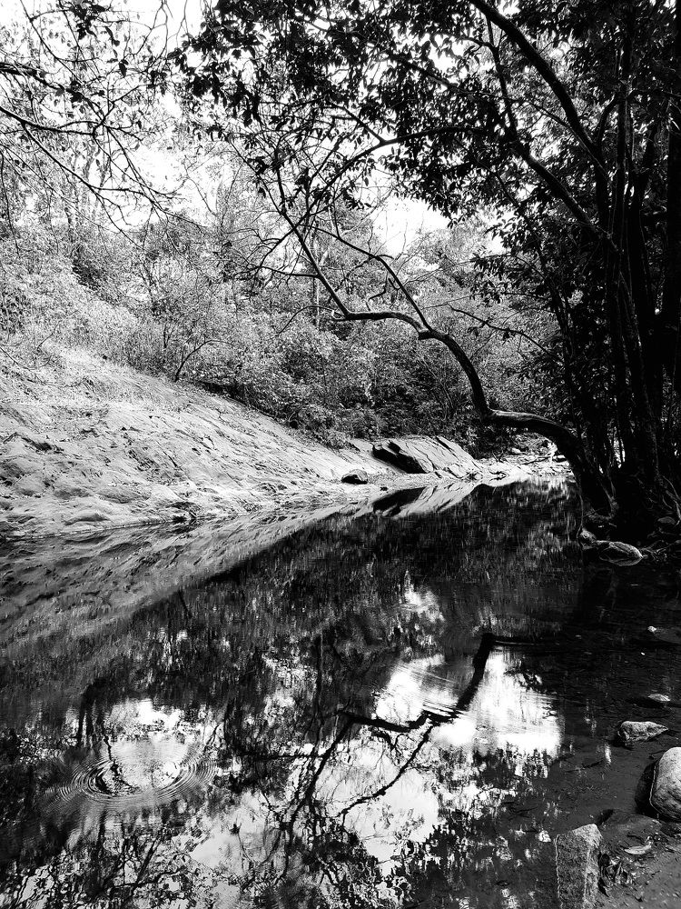 Photograph by Кристина Кердянова