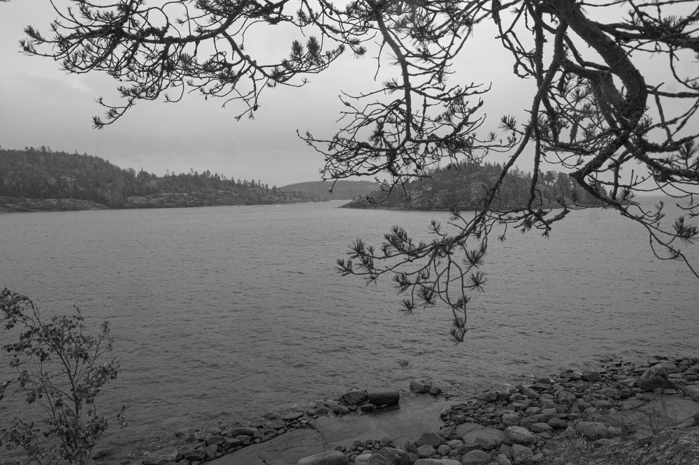 Photograph by Анна Васильева