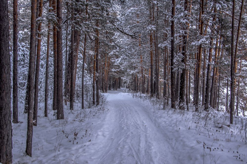 Фотография автора Анатолий Мацеля
