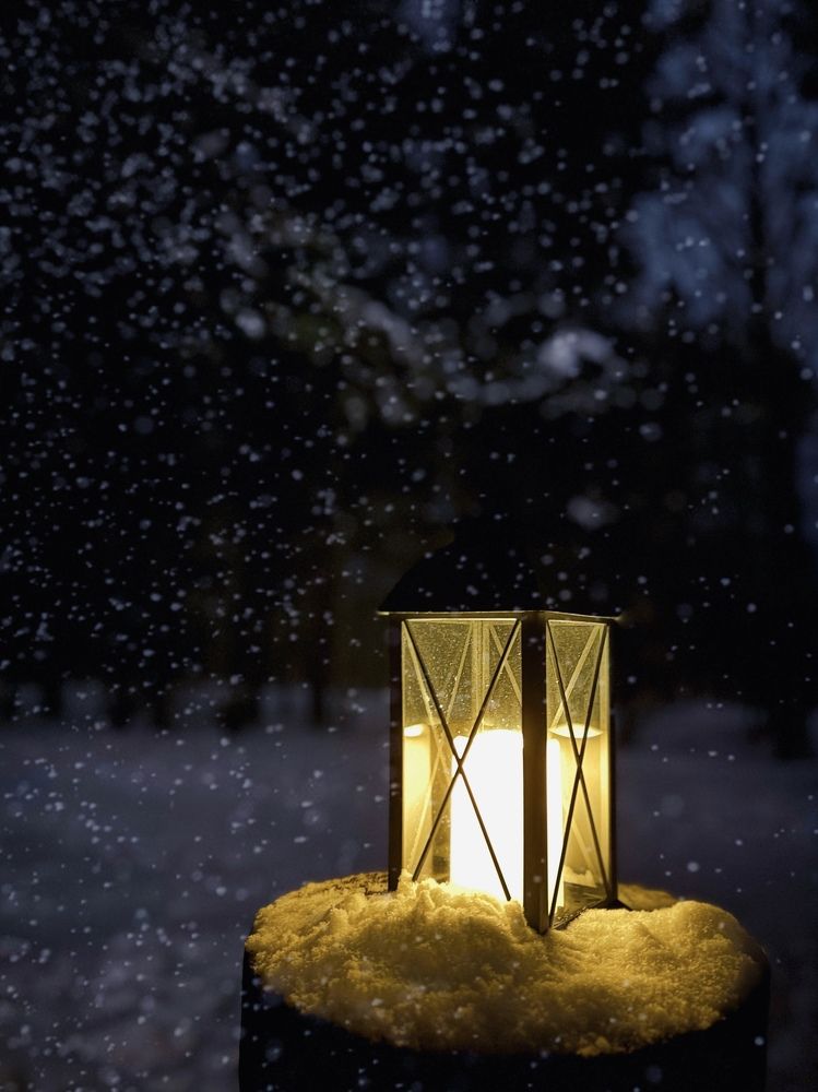 Photograph by Надежда Ряхина