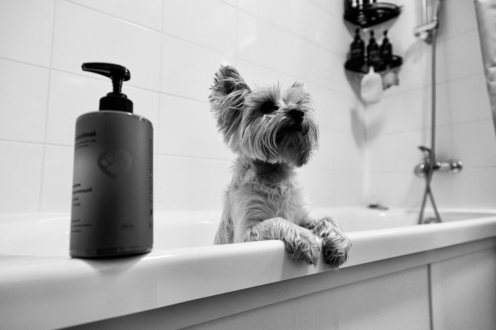 Photograph by Роман Акулов