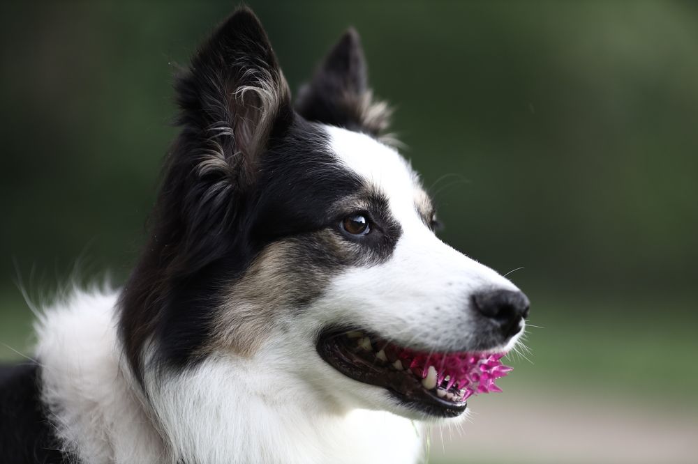 Photograph by Роман Акулов