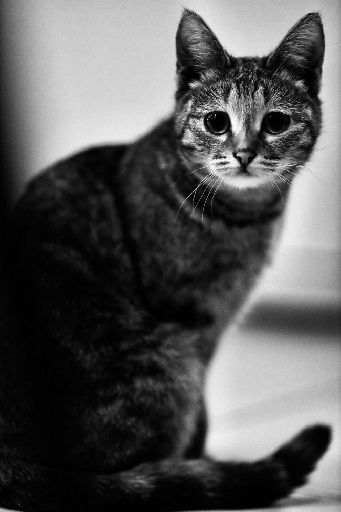 Photograph by Роман Акулов