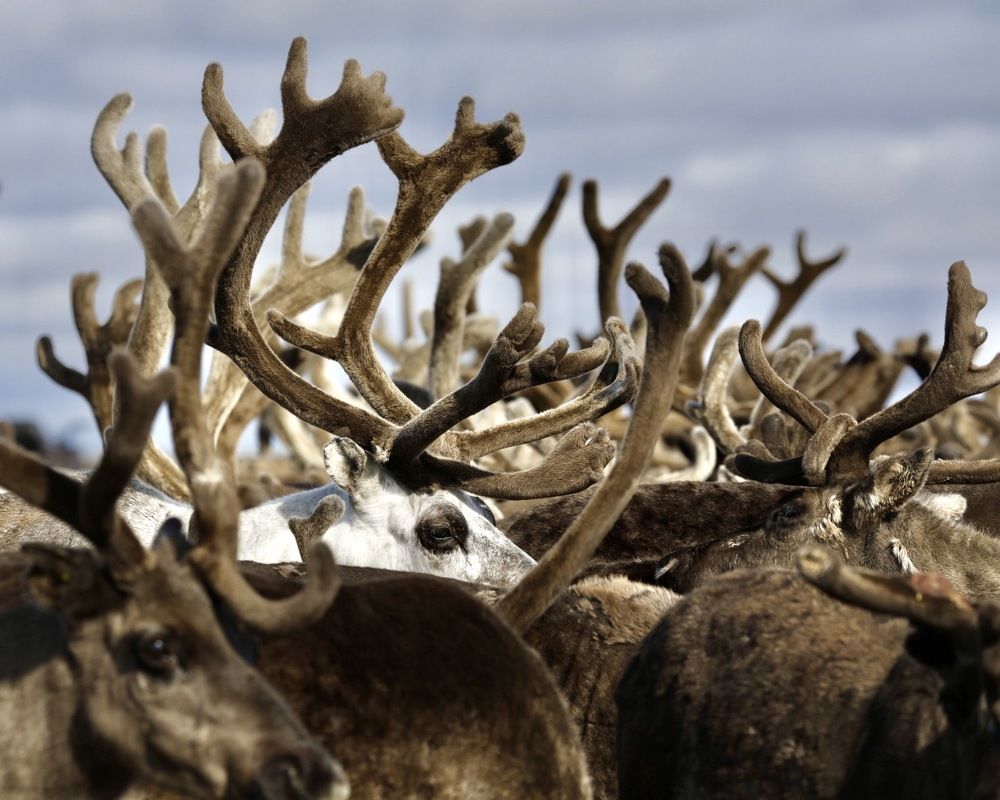 Photograph by Наталья Филькина