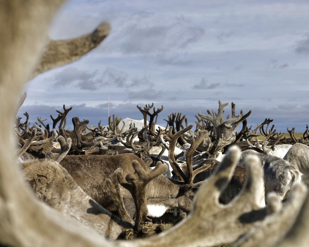 Photograph by Наталья Филькина