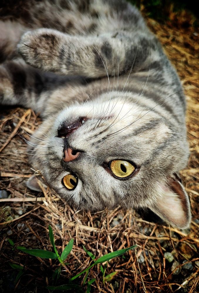 Photograph by Дина Желанова