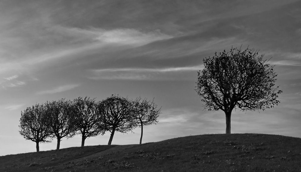 Photograph by Станислав Староверов