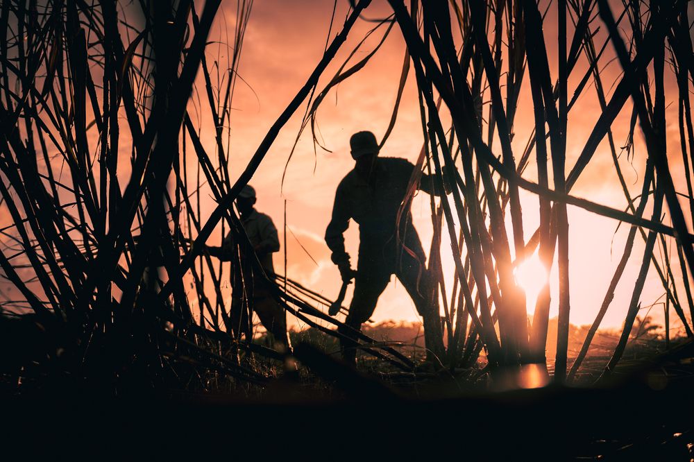 Photograph by Alexandre Lassémillante
