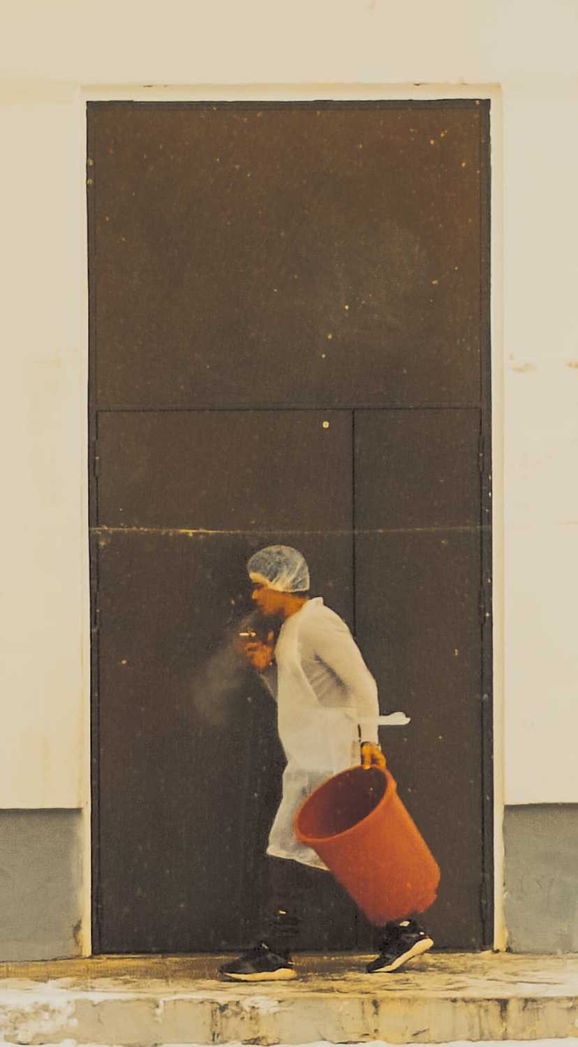 Photo #11546506
