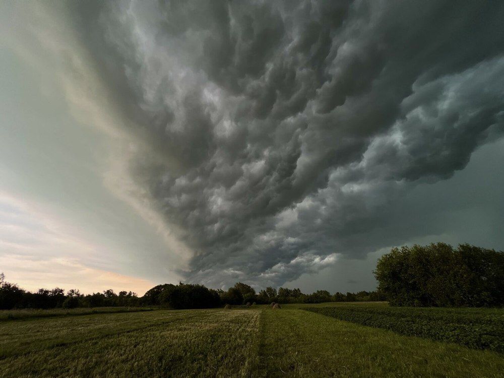 Photograph by Ольга Евграфова