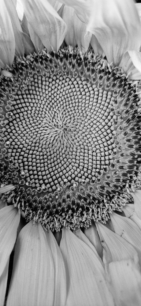 Фотография автора Ольга Мусина