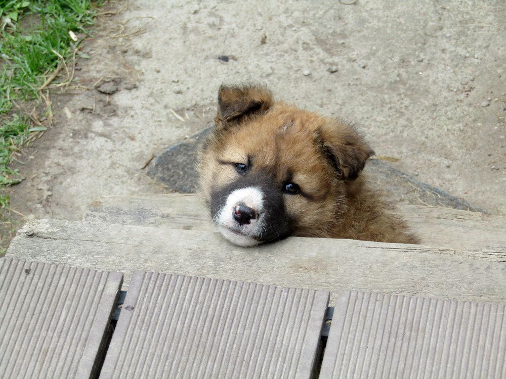 Photograph by Татьяна Смирнова