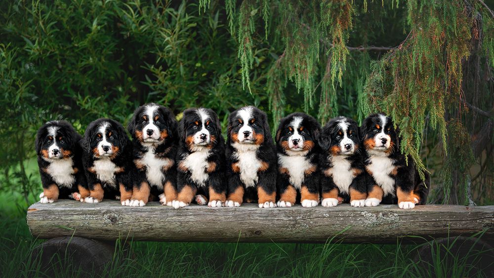 Фотография автора Оксана Серова