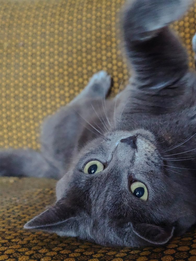 Photograph by Мария Устьянцева