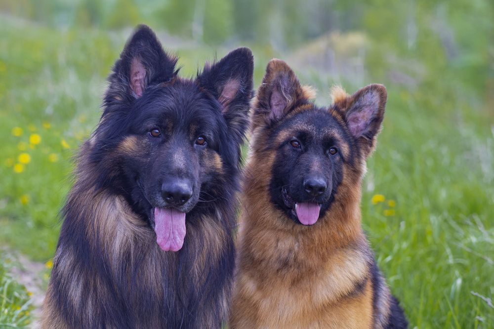 Photograph by Светлана Карнаух