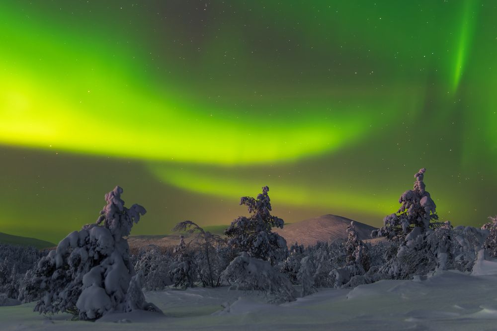 Фотография автора Mika Mgla