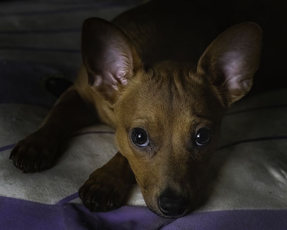 Фотография автора Ray Asiala