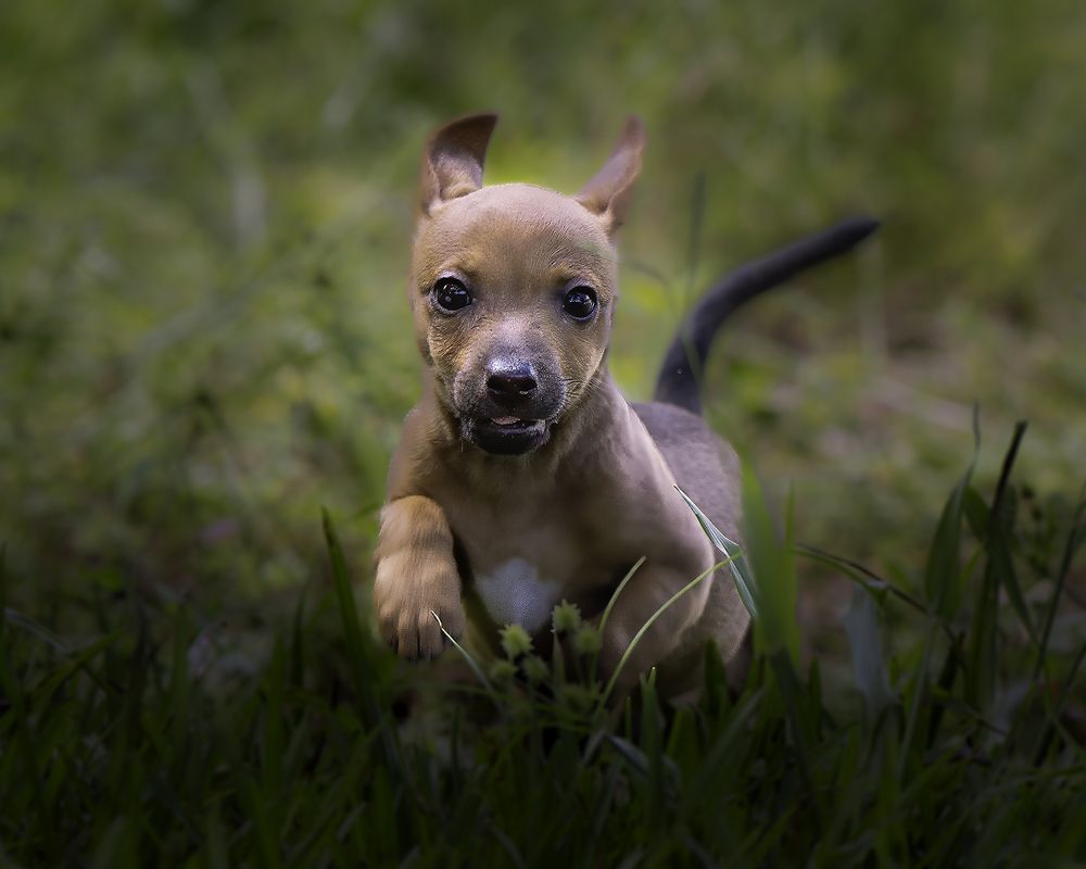 Фотография автора Ray Asiala