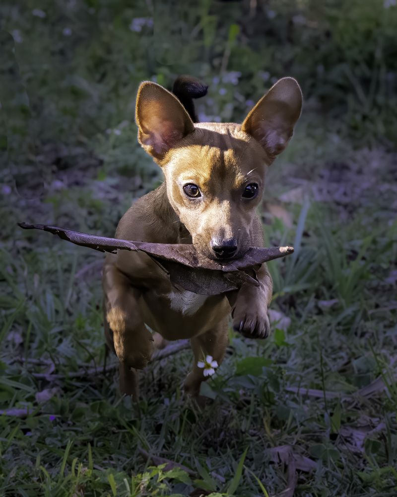 Фотография автора Ray Asiala