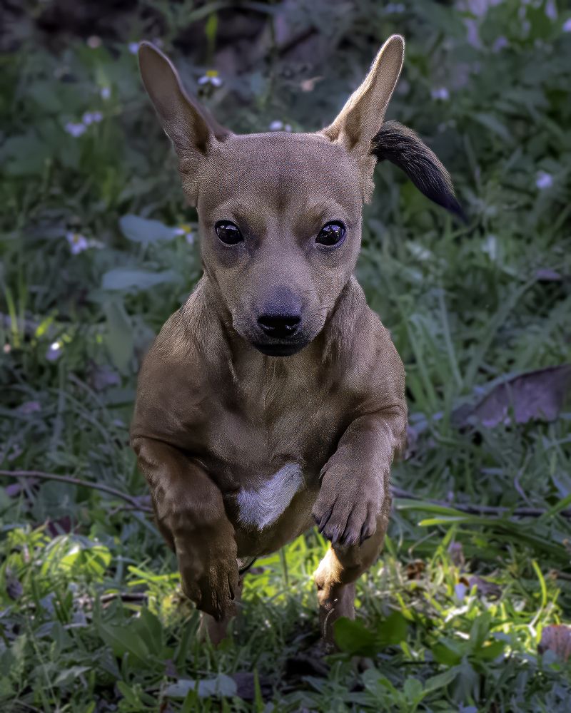 Фотография автора Ray Asiala