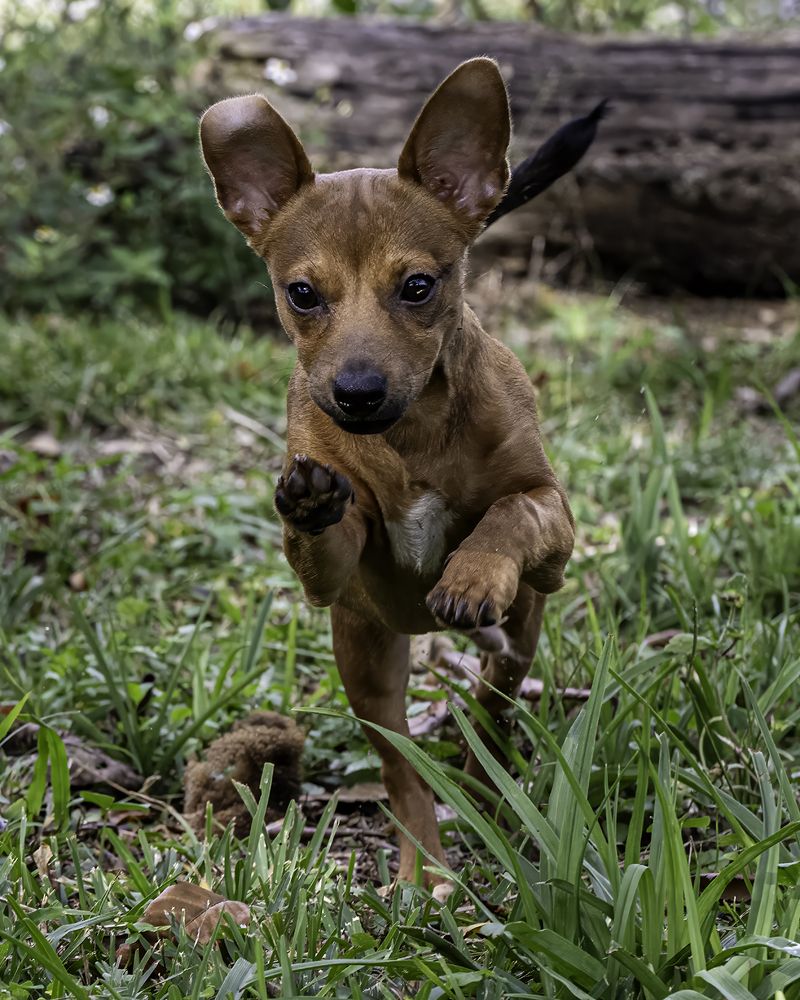 Фотография автора Ray Asiala