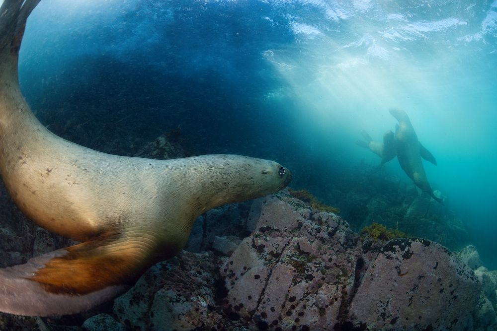 Фотография автора Андрей Нарчук