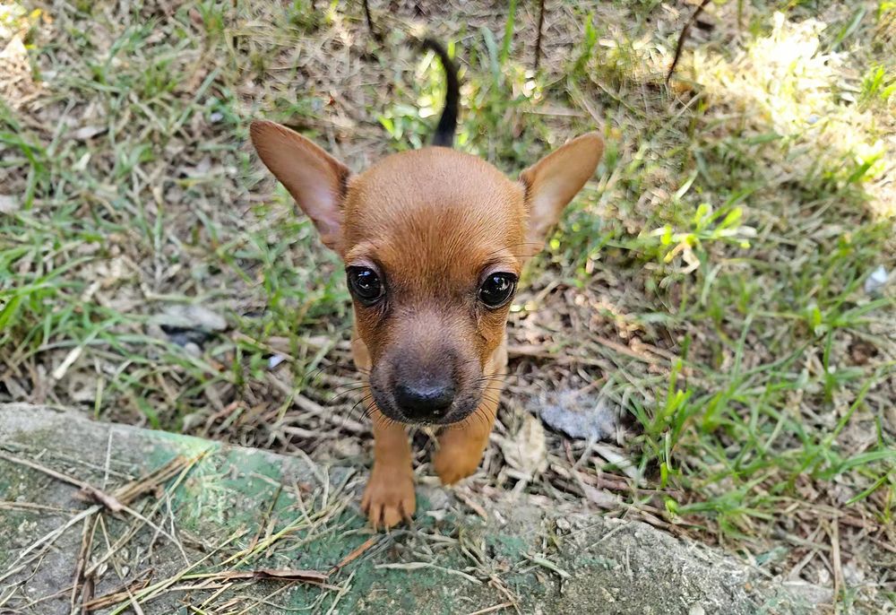 Фотография автора Ray Asiala