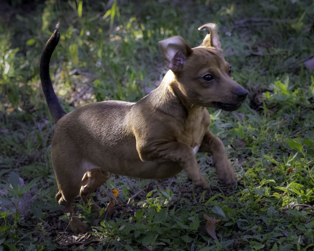 Фотография автора Ray Asiala