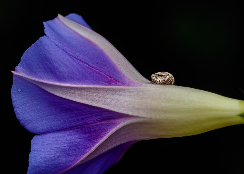 Photograph by Manjunath Acharya