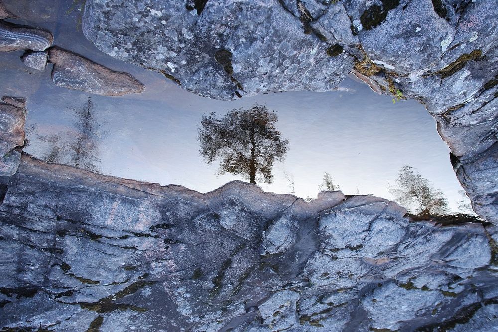 Фотография автора Андрей Нарчук