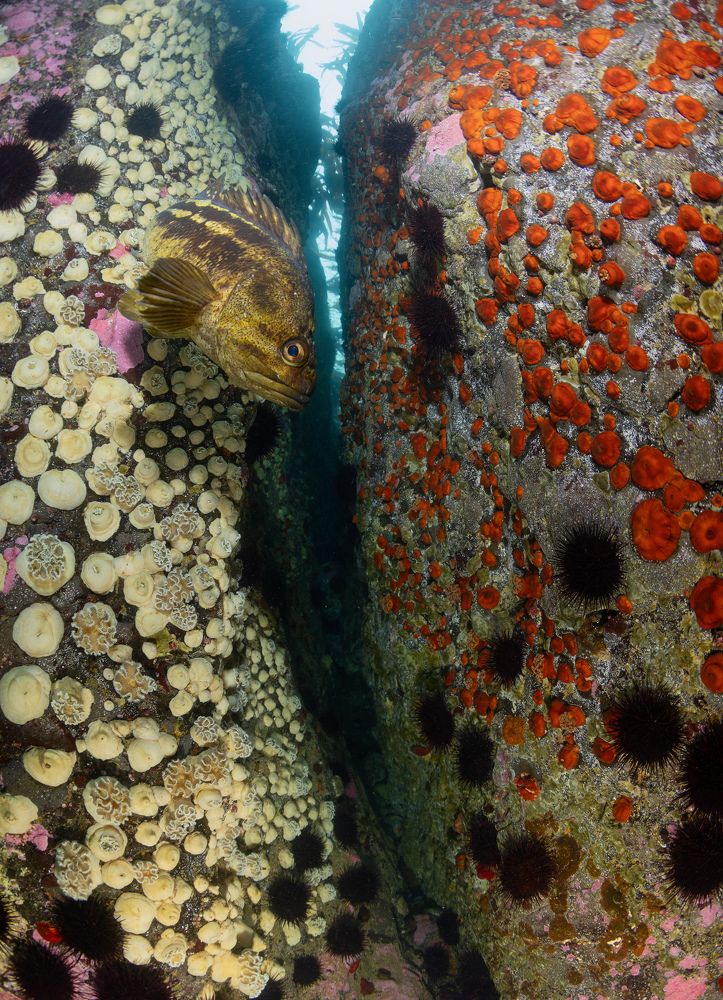 Фотография автора Андрей Нарчук