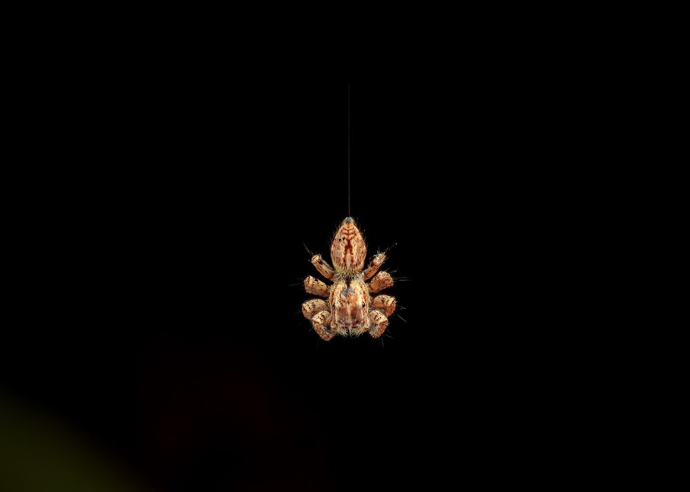 Photograph by Manjunath Acharya