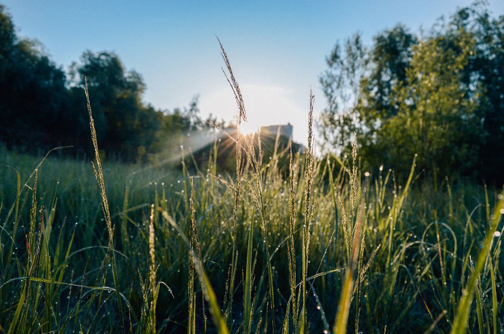 Photograph by Анастасия Костылева