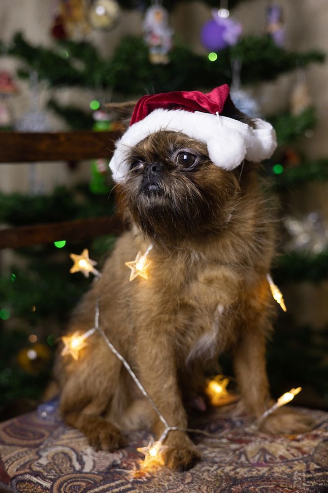 Photograph by Жанна Вахрамеева