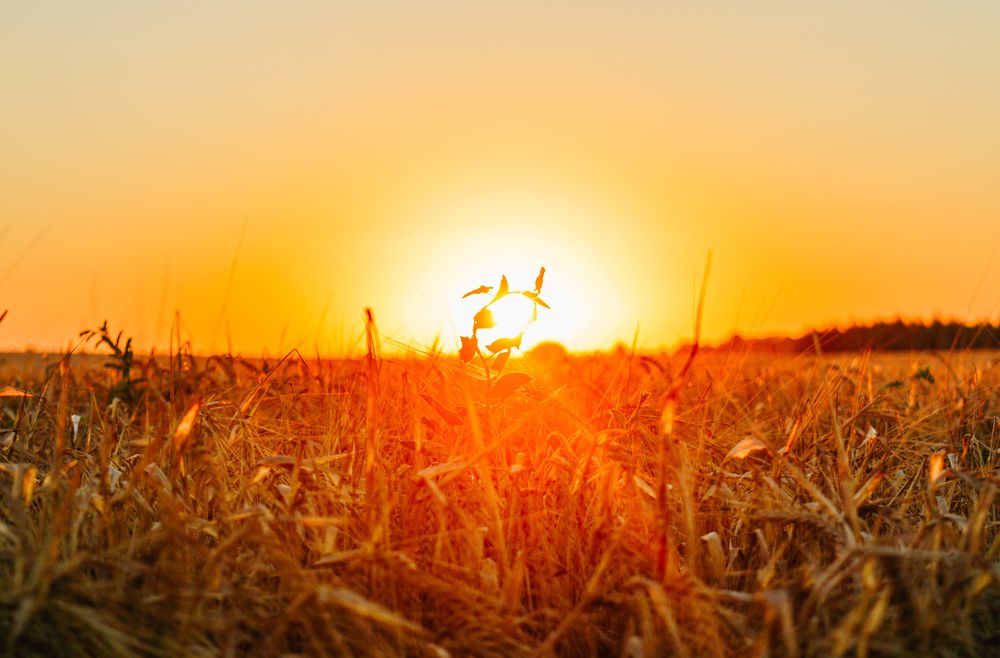 Photograph by Анастасия Костылева