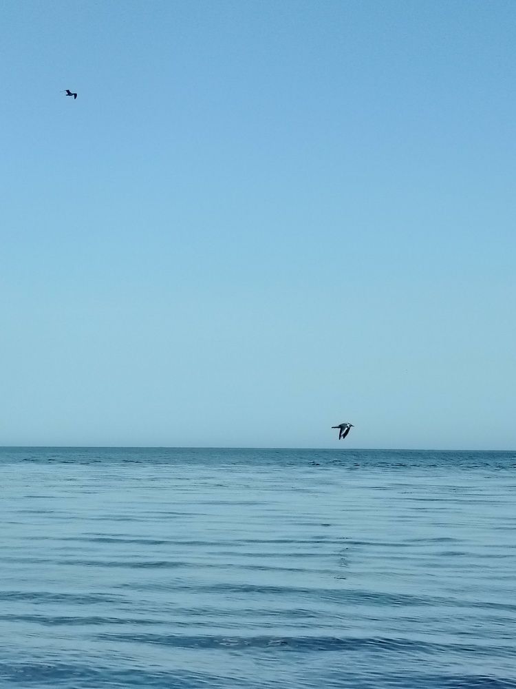 Photograph by Анна Юнг