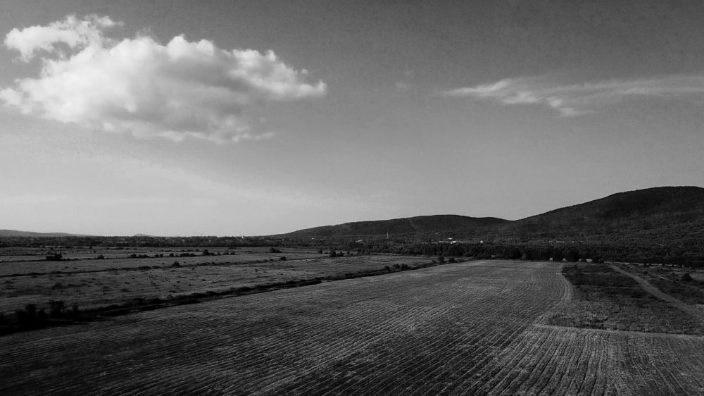 Photograph by Анастасия Костылева