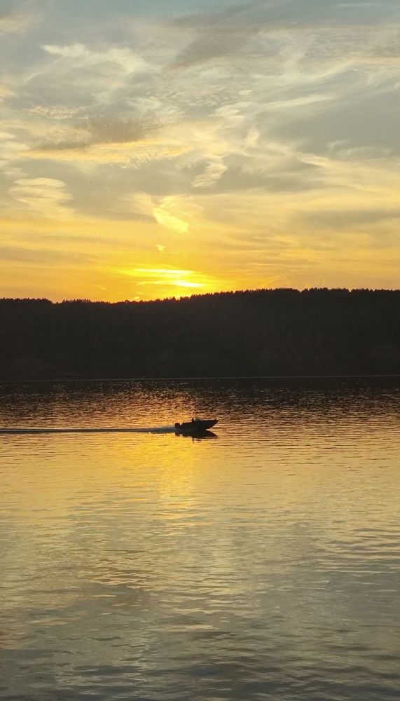 Photo #11546936